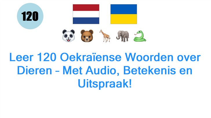 Leer 120 Oekraïense Woorden over Dieren – Met Audio, Betekenis en Uitspraak!